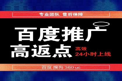 SEM广告案例：数据分析驱动营销决策